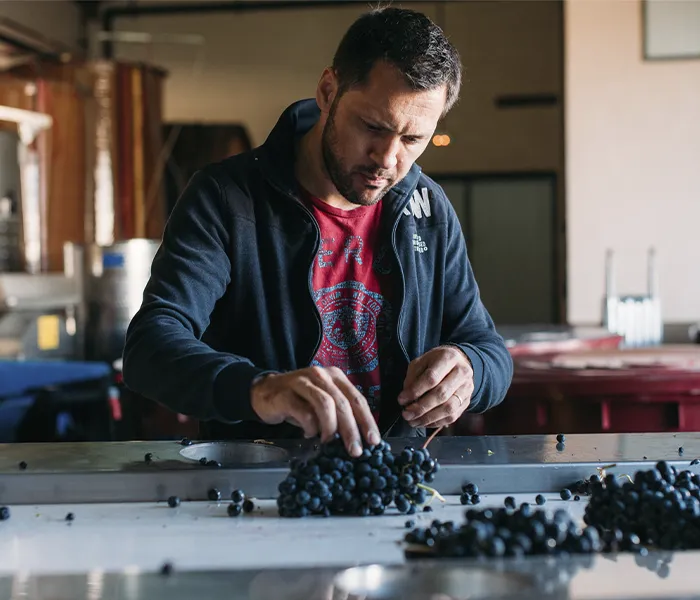 Carrossel Produtores - Olivier Rivière 05